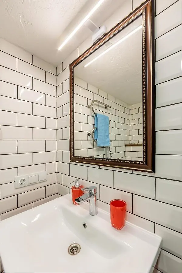 Kyiv Olympic Loft Apartment